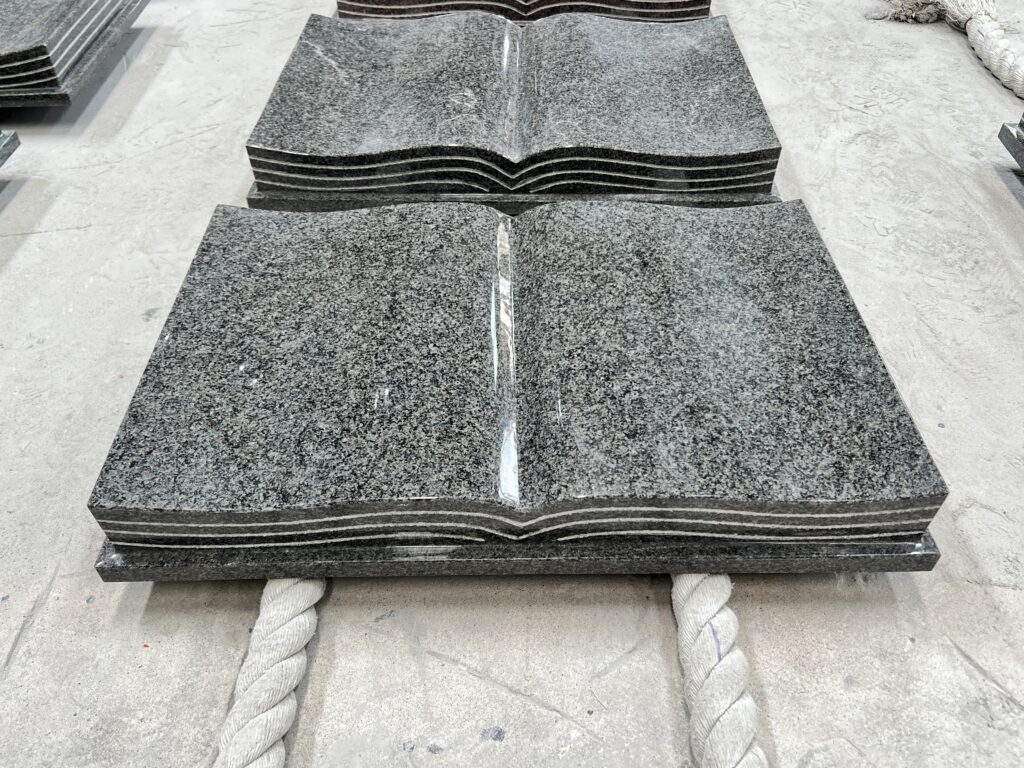 IMG 3695